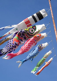 Koinobori（carp streamers）