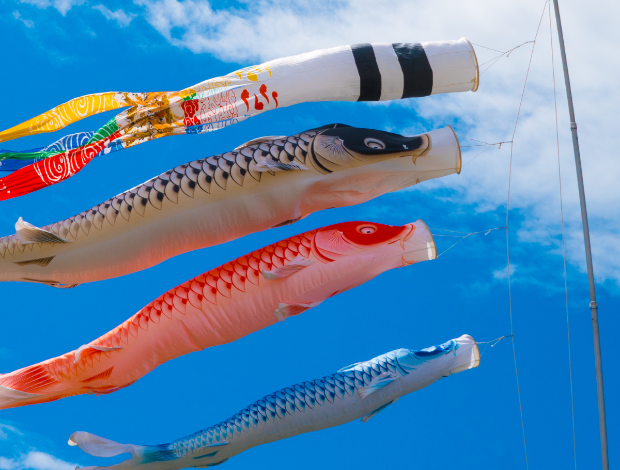 鯉のぼり特別価格